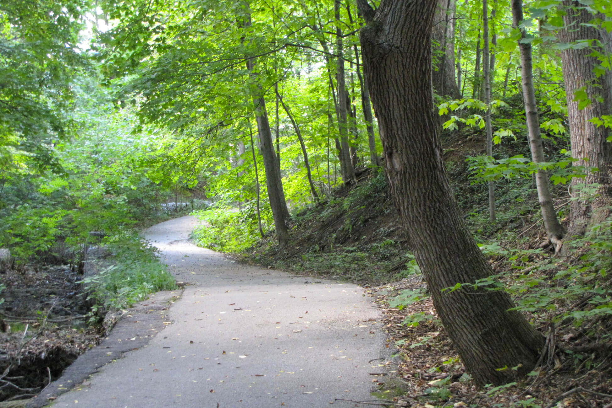 white rock bike trail